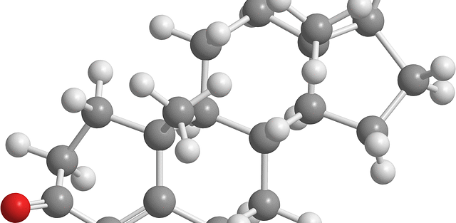 testosterone molecule