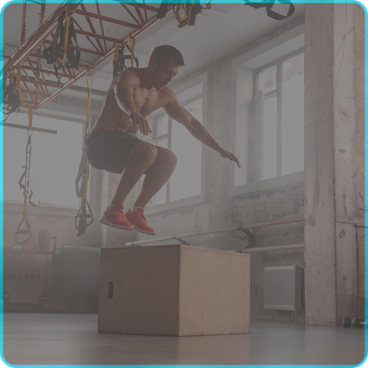 Image hover effect image